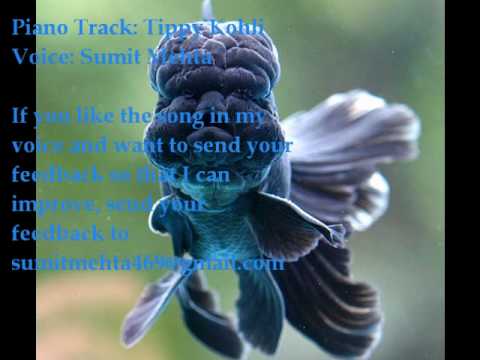 Pukarta Chala Hu Main